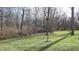 Wooded backyard with a grassy area at 4738 Moss Creek Ct, Indianapolis, IN 46237