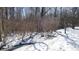 Partially frozen stream running through a snowy wooded area at 4738 Moss Creek Ct, Indianapolis, IN 46237