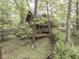 Secluded cabin-style home nestled in the woods with wooden walkways and lush greenery at 6486 Coyote Dr, Nineveh, IN 46164