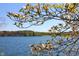 Scenic lake view framed by blooming dogwood branches, showcasing tranquil waters and distant wooded shores at 6486 Coyote Dr, Nineveh, IN 46164