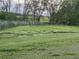 Scenic view of a lush green yard with wildflowers dotting the landscape, backed by mature trees at 7108 Parkstay Ct, Indianapolis, IN 46113