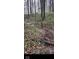 Discover the serenity of this wooded backyard, perfect for nature lovers and peaceful retreats at 9083 W Koger Ln, Martinsville, IN 46151
