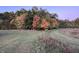Experience the beauty of fall foliage and mature trees on this expansive backyard property at 9083 W Koger Ln, Martinsville, IN 46151