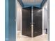 Black shaker-style doors leading to additional rooms at 2101 N Wolf Cv, Martinsville, IN 46151