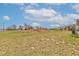 Large, well-maintained backyard area with a grill and fencing at 11851 Fawn Crest Dr, Indianapolis, IN 46235
