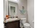 Bathroom with a single sink, large mirror, and a toilet at 11851 Fawn Crest Dr, Indianapolis, IN 46235