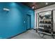 Gym featuring an exercise ball rack and other workout equipment, set against a modern blue accent wall at 1155 S Rangeline Rd # 503, Carmel, IN 46032