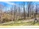 View of the backyard showcasing a chain-link fence and a lush area of grass with bare trees in the background at 7635 Grizzly Dr, Nineveh, IN 46164