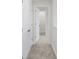Bright hallway with carpet and neutral walls, leading to bedrooms and closets at 3885 Wren Dr, Brownsburg, IN 46112