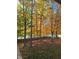 Scenic backyard view with mature trees displaying vibrant fall foliage and a charming wooden fence at 14626 Warner Trl, Westfield, IN 46074
