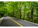 Scenic walking and bike path surrounded by lush trees at 729 Greenford N Trl, Carmel, IN 46032