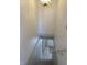 View down staircase at 431 Vestal Rd, Plainfield, IN 46168