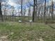 Spacious yard with lush green trees and tank at 7934 S 600 W, Edinburgh, IN 46124