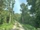 Scenic driveway framed by lush trees and foliage at 7934 S 600 W, Edinburgh, IN 46124