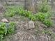 Ground view of natural landscape with blue wildflowers, and rocks at 7934 S 600 W, Edinburgh, IN 46124