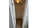 Walk-in closet boasts carpeted flooring and a sturdy metal shelf for organization at 2307 Blackthorn Dr, Franklin, IN 46131