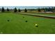 Well-maintained bocce ball court with green artificial turf at 6286 Wasco Dr, Whitestown, IN 46075