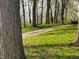 Gravel driveway through wooded area, enhancing privacy and a natural setting at 8855 N Waverly Park Rd, Martinsville, IN 46151