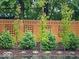 Well-maintained backyard featuring a wooden fence adorned with lush greenery and young trees at 6906 Johnson Rd, Indianapolis, IN 46220