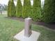 Community park featuring evergreen trees, lush grass, a drinking fountain, and sports facilities at 12912 Broncos Dr, Fishers, IN 46037