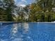 A close-up shot of a shimmering pool with blue tile under a leafy tree canopy at 6902 Creekridge Trl, Indianapolis, IN 46256