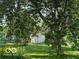 Lush backyard with mature trees and a glimpse of a shed, offering a serene outdoor retreat at 534 Austrian Way, Avon, IN 46123