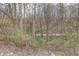 Picture of the woods beyond the property at 104 Mohawk Ln, West Lafayette, IN 47906