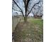 Large backyard featuring a mature trees and an expansive grassy area, offering outdoor space at 5625 Gateway Dr, Indianapolis, IN 46254