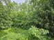 Lush backyard with full of trees and greeneries at 620 Valley Dr, Martinsville, IN 46151