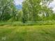 Lush green field with trees and tall grasses in the background at 5784 N 600 E, Greenfield, IN 46140