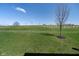 Sprawling backyard featuring a well-maintained lawn, freshly planted trees, and clear blue skies at 7282 Zanesville Rd, Carmel, IN 46033