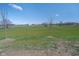 Lush green backyard with newly planted trees and open space, perfect for outdoor activities or relaxation at 7282 Zanesville Rd, Carmel, IN 46033