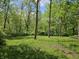 Backyard view of a storage shed surrounded by tall trees and lush grass at 4257 Tattersall Dr, Plainfield, IN 46168