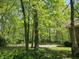 A driveway next to a lush forest at 4257 Tattersall Dr, Plainfield, IN 46168