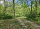 A scenic shot of a winding gravel driveway amidst lush green trees and foliage at 4257 Tattersall Dr, Plainfield, IN 46168