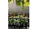 Outdoor flower bed with colorful flowers and decorative iron fencing at 5441 E 17Th St, Indianapolis, IN 46218