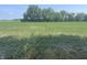 Expansive land cultivated with precision, showcasing rows of healthy crops under a bright sky at 11 S 1050 W, Jamestown, IN 46147