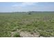 Land featuring diverse vegetation, including wild grasses and crops, set against a backdrop of distant trees at 11 S 1050 W, Jamestown, IN 46147