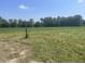 Expansive land with crops and mature trees, perfect for farming or building your dream home at 11 S 1050 W, Jamestown, IN 46147