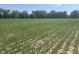 Expansive land cultivated with precision, showcasing rows of healthy crops under a bright sky at 11 S 1050 W, Jamestown, IN 46147