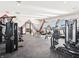 Clean and organized gym space with a variety of equipment for a full body workout experience at 132 Velvet Hat Rd, Danville, IN 46122