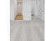 Open bedroom showcasing neutral carpeting and multiple doorways at 243 Hunters Ridge Dr, Danville, IN 46122