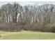 Image showing a line of bare trees in the spring at 8418 S State Road 39, Clayton, IN 46118