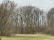 Image showing a line of bare trees and spring vegetation at 8418 S State Road 39, Clayton, IN 46118