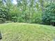Lush, green backyard with a view of the surrounding wooded area and the home's siding at 7650 Clarion Dr, Indianapolis, IN 46236