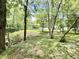 Secluded backyard with mature trees and plenty of space for outdoor activities at 7650 Clarion Dr, Indianapolis, IN 46236