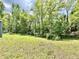 Lush green backyard surrounded by mature trees, creating a tranquil and private oasis at 7650 Clarion Dr, Indianapolis, IN 46236
