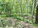 Private, wooded backyard offering seclusion and a natural setting at 7650 Clarion Dr, Indianapolis, IN 46236