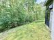 Lush backyard with a view of the wooded area surrounding the property and the home's siding at 7650 Clarion Dr, Indianapolis, IN 46236