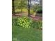 Landscaped garden bed filled with hostas and flowers along a wrought iron fence at 11704 Gray Eagle Dr, Fishers, IN 46037